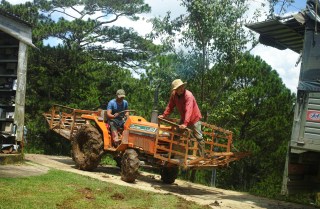 Nông trại cà phê